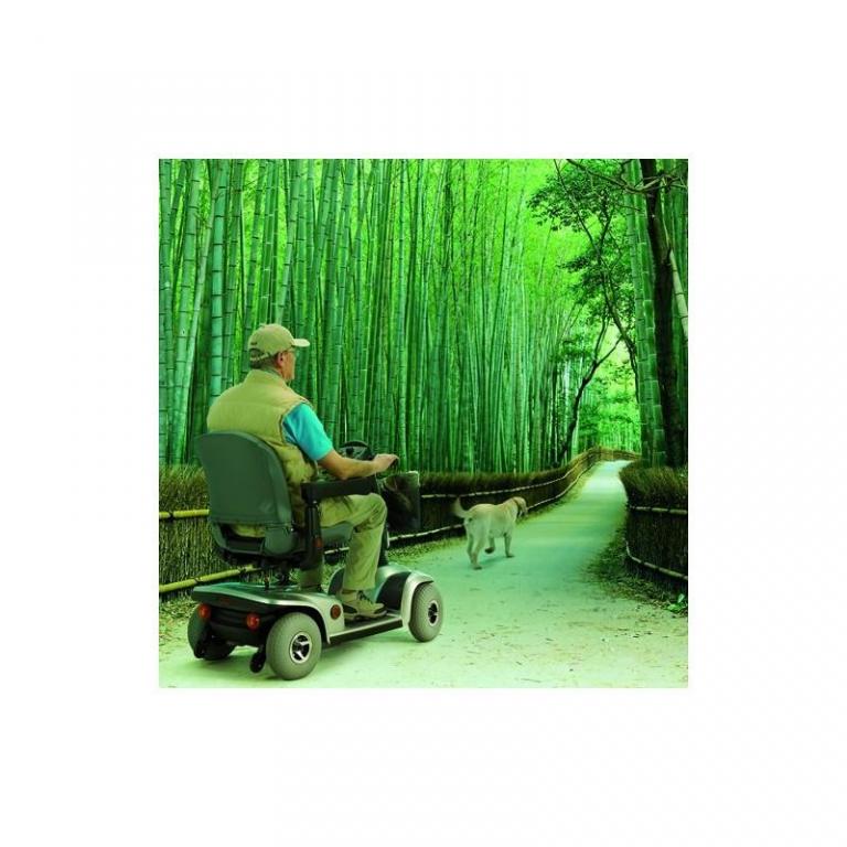 Scooter électrique Invacare Léo - Hapi médical